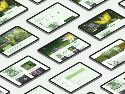 Isometric Ipad Mockup