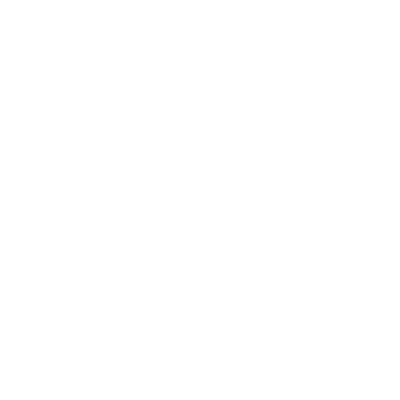 Kunstloc x