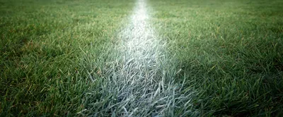 MySportMoment header