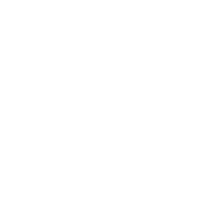 Napoleon-vierkant